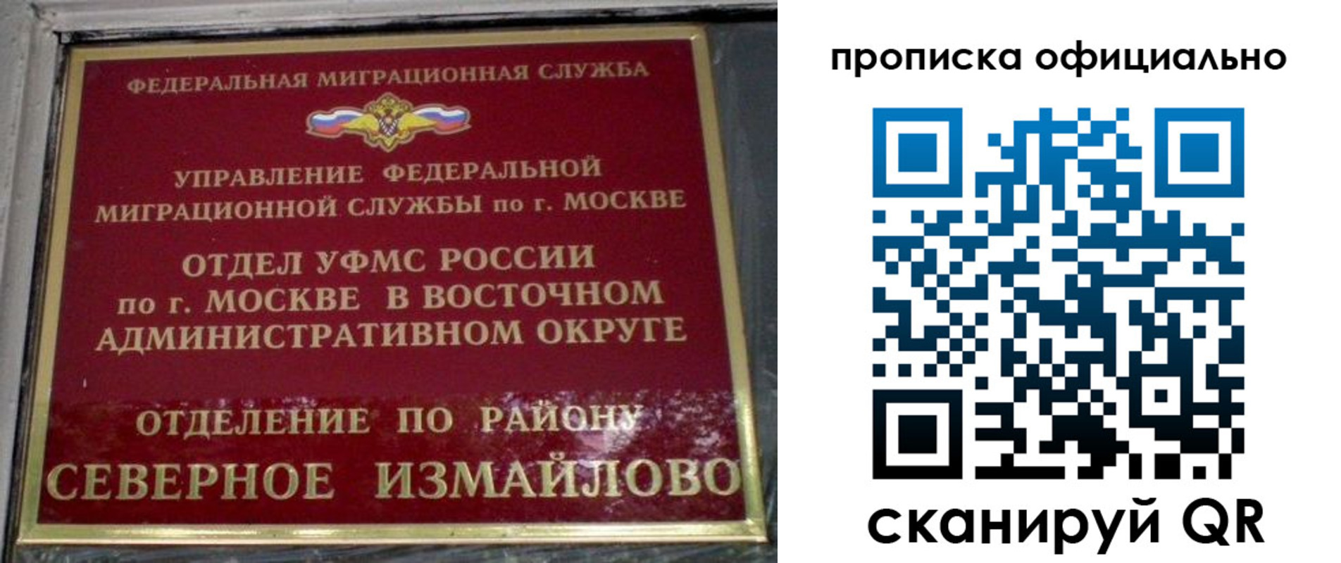 временная регистрация поиск в Зеленоградске